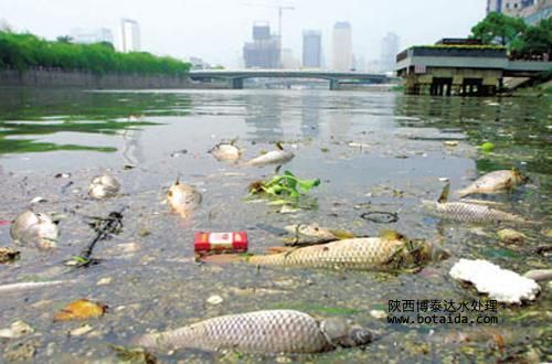 離子交換樹脂對(duì)污染如何進(jìn)行處理？